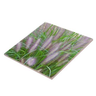 PURPLE FOUNTAIN GRASS CERAMIC TILE