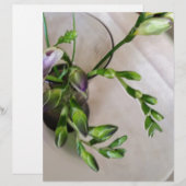 purple freesia buds (Front/Back)
