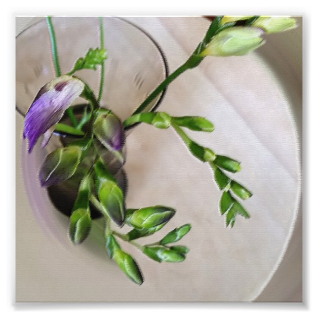 purple freesia buds photo print (Front)