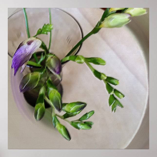 purple freesia buds poster (Front)