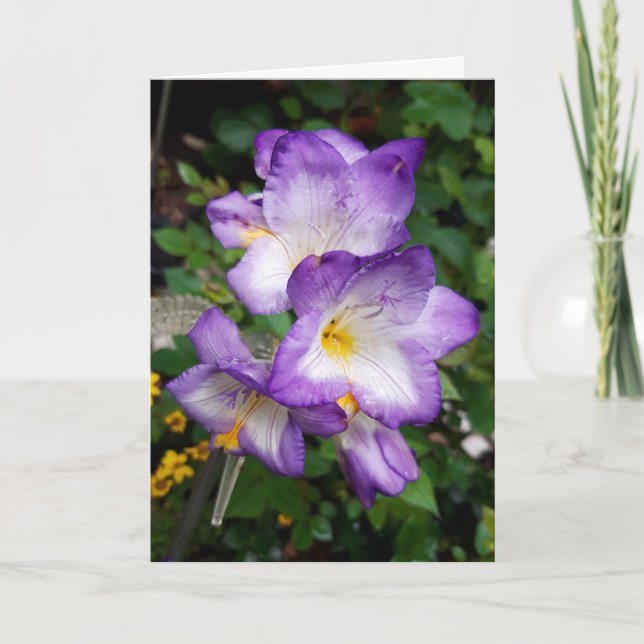 Purple Freesia Flowers Card (Front)
