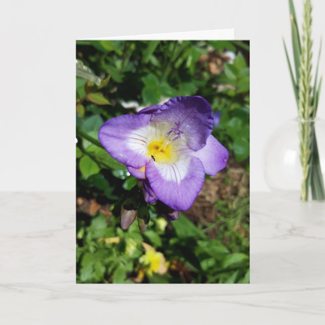 Purple Freesia Flowers Card (Front)