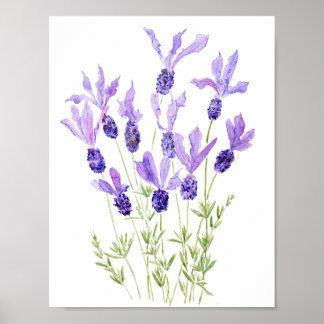 purple French lavender watercolor Poster