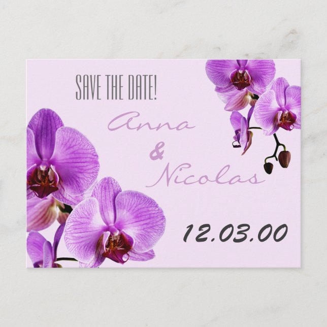 Purple fresh cut orchids announcement postcard (Front)