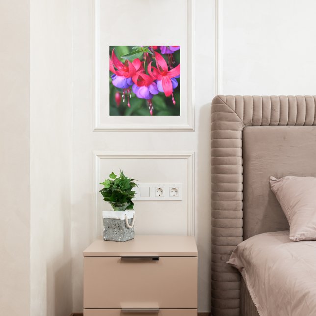 Purple Fuchsia Flowers with Pink Sepals Floral Metal Print (In Situ)