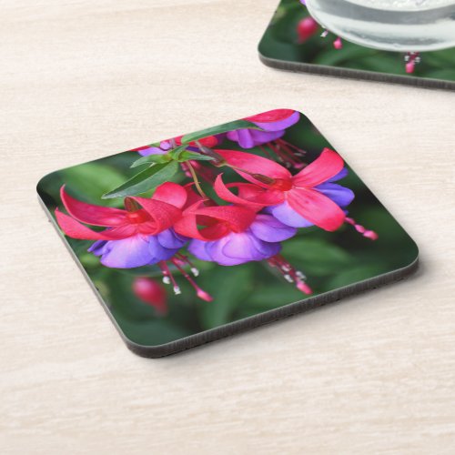 Purple Fuchsia with Pink Sepals Floral Beverage Coaster