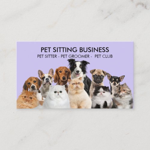 Purple Funny Pet Dogs Cats Business Card