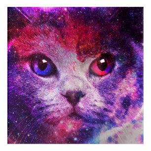 Purple Galaxy Cat Acrylic Print