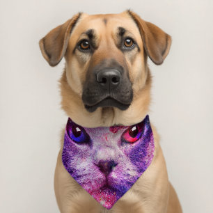 Purple Galaxy Cat Pet Bandana Collar