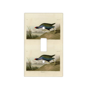 Purple Gallinule from Audubon's Birds of America Light Switch Cover