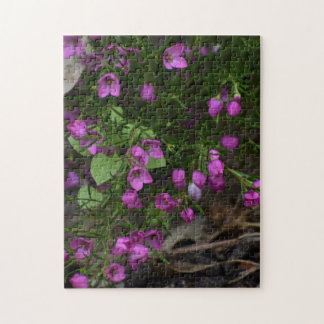 Purple Garden – A Bloom in Focus Jigsaw Puzzle