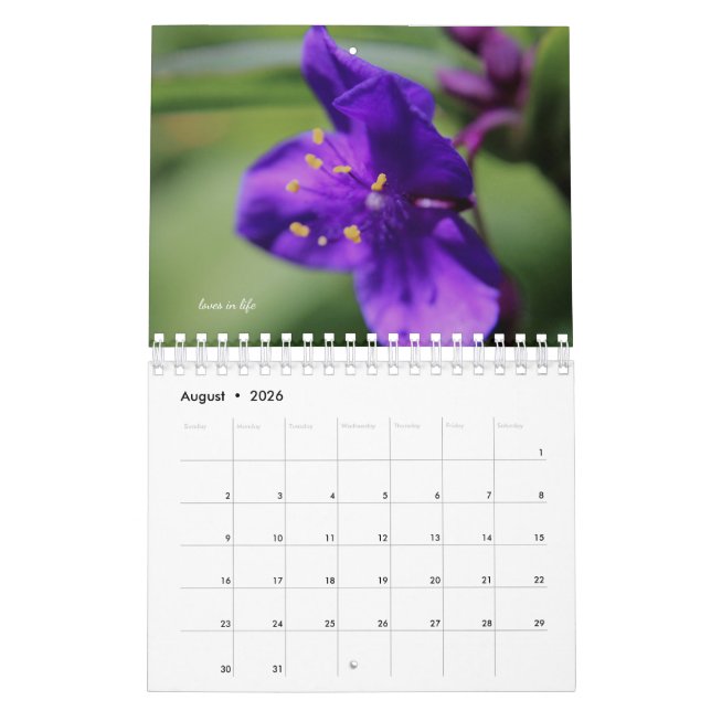 Purple Garden Flowers Calendar (Aug 2026)