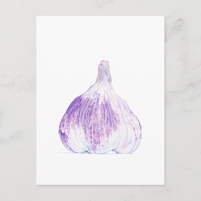 Purple Garlic Postcard (Front)
