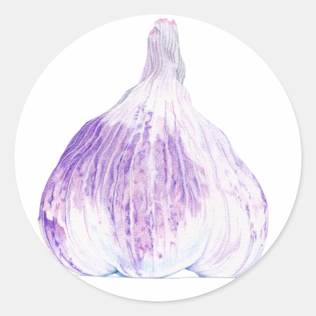 Purple Garlic Sticker (Front)