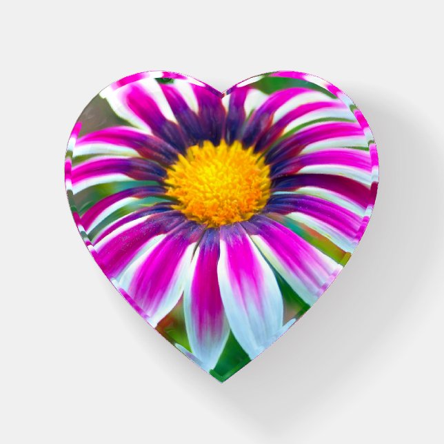 Purple Gazania Paperweight (Front)