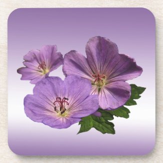 Purple Geranium Flowers Coaster