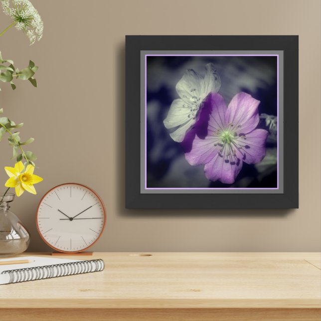 Purple Geranium Flowers Partial Color  Framed Art (Table Top)