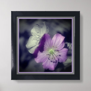 Purple Geranium Flowers Partial Color Framed Art