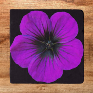 Purple Geranium on Black Background Floral Trivet