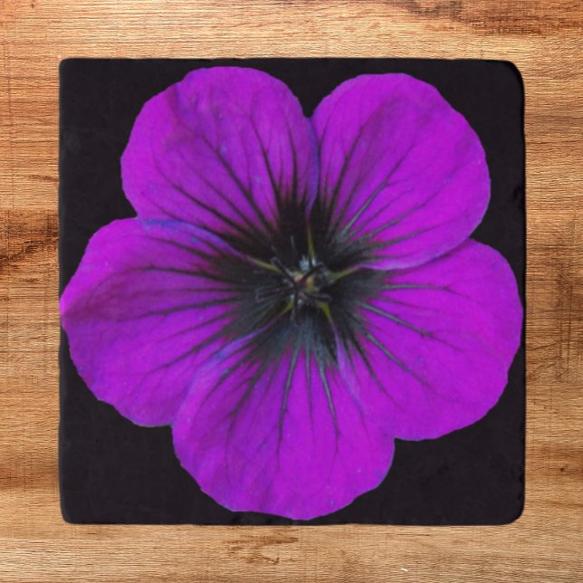 Purple Geranium on Black Background Floral Trivet (In Situ)