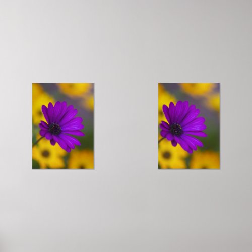Purple Gerbera Among Yellow Flowers Metal Print Wall Art Sets