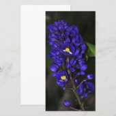 Purple Ginger (Front/Back)