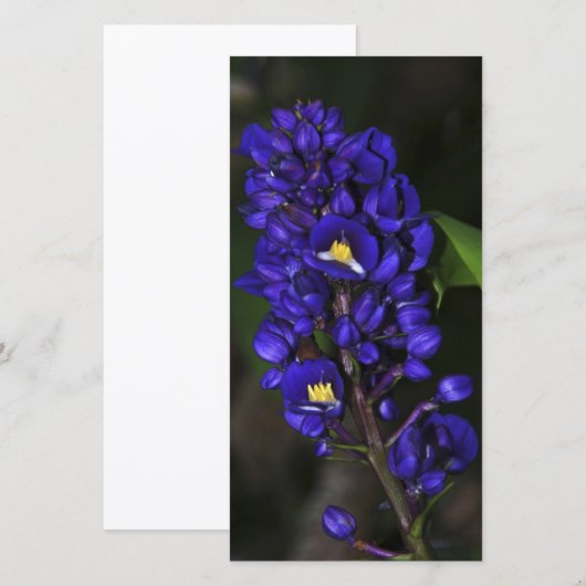 Purple Ginger (Front/Back)