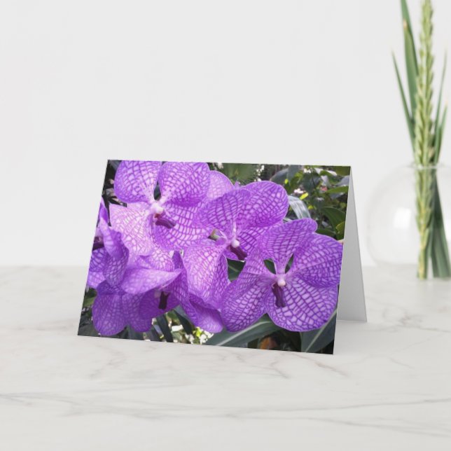 Purple glory in Giverny, France Card (Front)