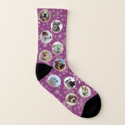 Purple Gold Christmas Snowflake Pattern Pet Photo Socks