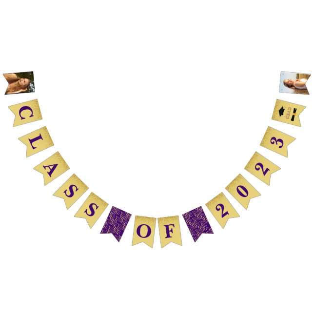 Purple Gold Sparkle Graduate Photo Party Bunting Flags (All)