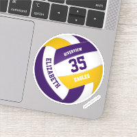 purple gold team colors girls boys volleyball