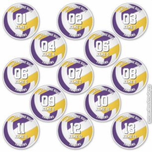 purple gold volleyball team stickers 13 athletes
