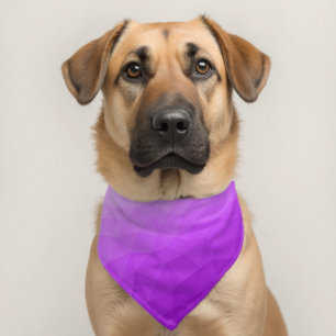 Purple gradient geometric mesh modern cool pet bandana collar