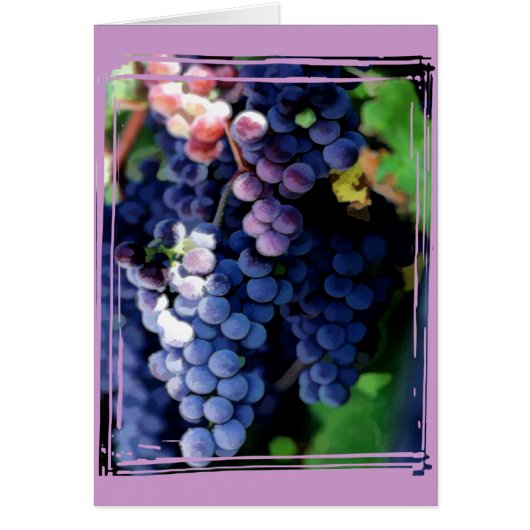 Purple Grapes Cluster Cards (Front)