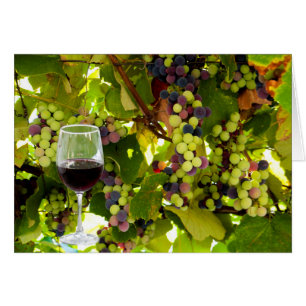 Purple Grapes Growing on the Vine with Wineglass Cards