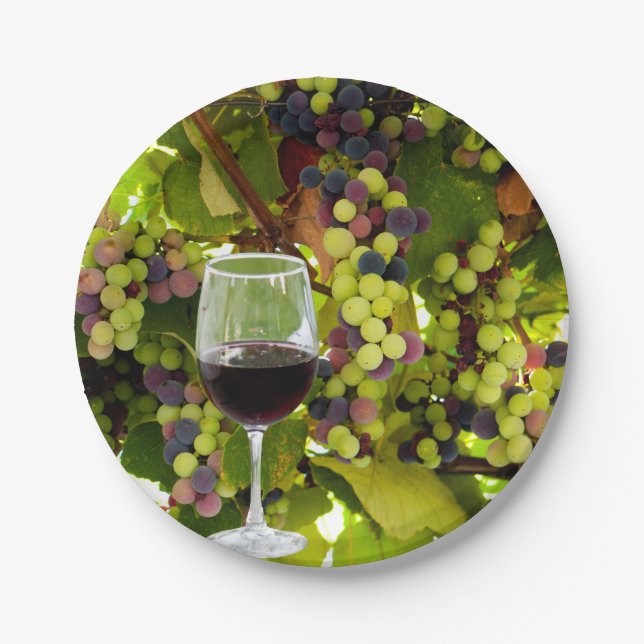 Purple Grapes Growing on the Vine with Wineglass Paper Plates (Front)