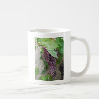 Purple Grapes on the Vine Coffee Mug