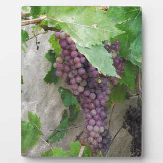 Purple Grapes on the Vine Plaque