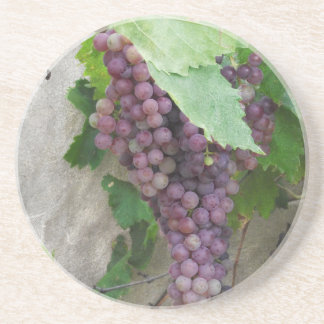 Purple Grapes on the Vine Sandstone Coaster
