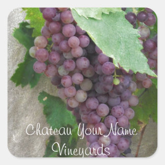 Purple Grapes on the Vine Square Sticker