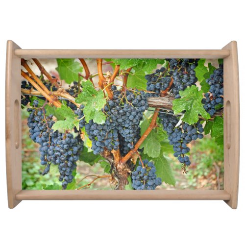 Purple grapes serving tray