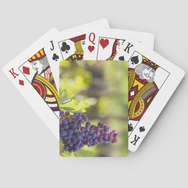 Purple grapevine poker cards (Back)