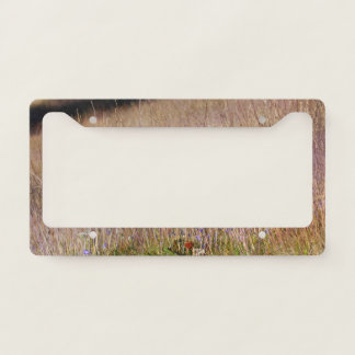 Purple Grass and Wildflowers License Plate Frame