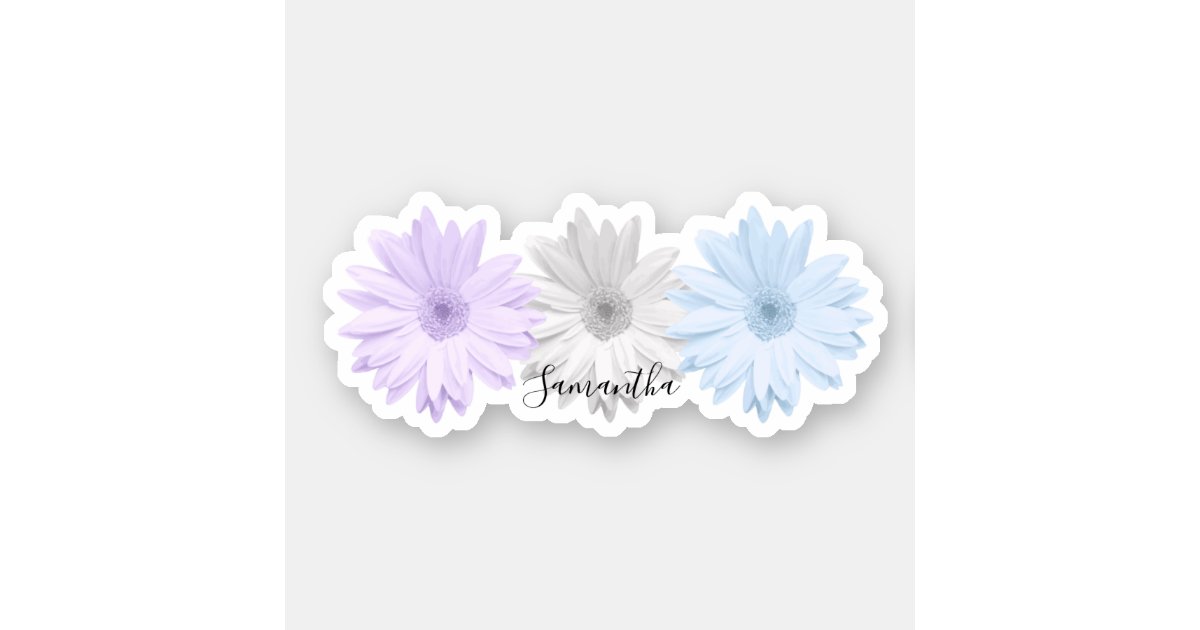 blue and white flower names