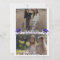 Purple Gray double Graduation Party 2 photo