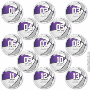 purple gray team colors 13 basketball players sticker