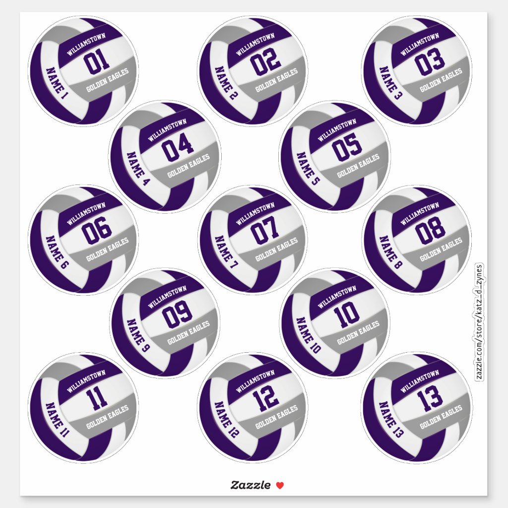 purple gray volleyball team colors players names stickers