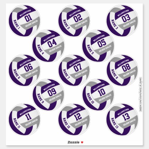 purple gray volleyball team colors players names sticker