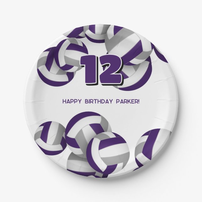 purple gray volleyballs kids birthday party paper plates (Front)