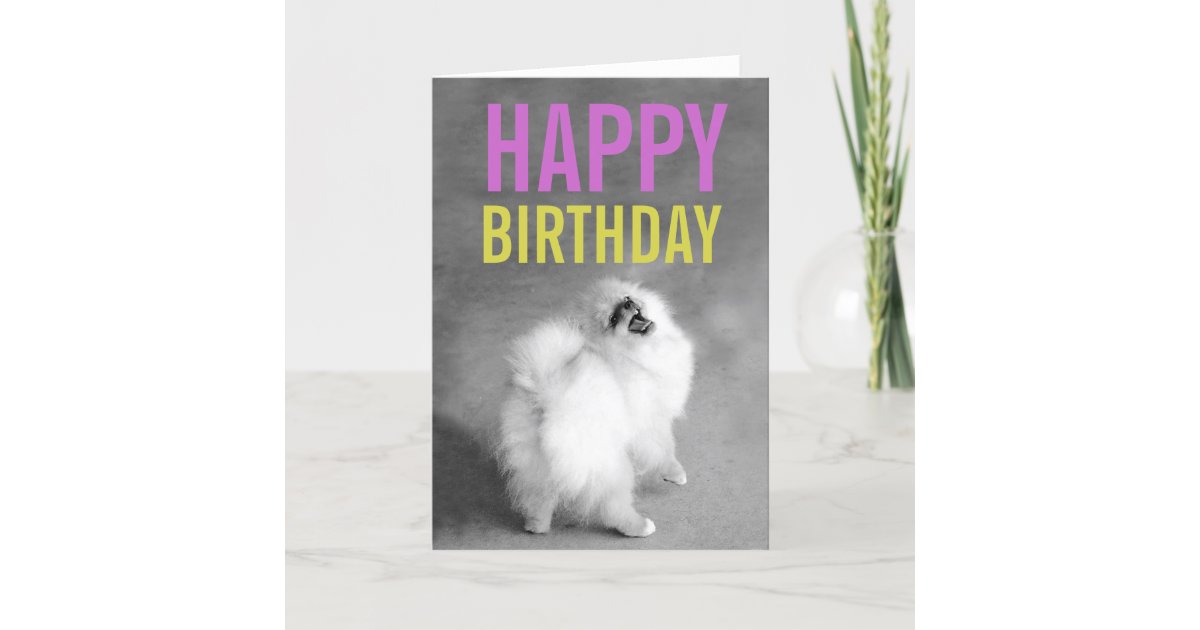 Purple & Green Pomeranian Happy Birthday Card | Zazzle